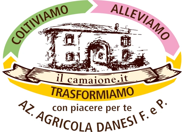 Il camaione logo